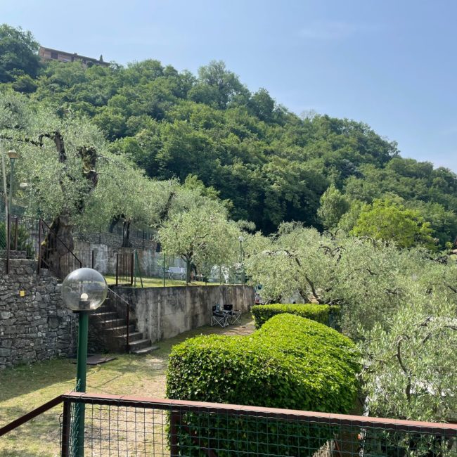 f33a6ec4-bce3-455f-b825-6d62738e5c6d