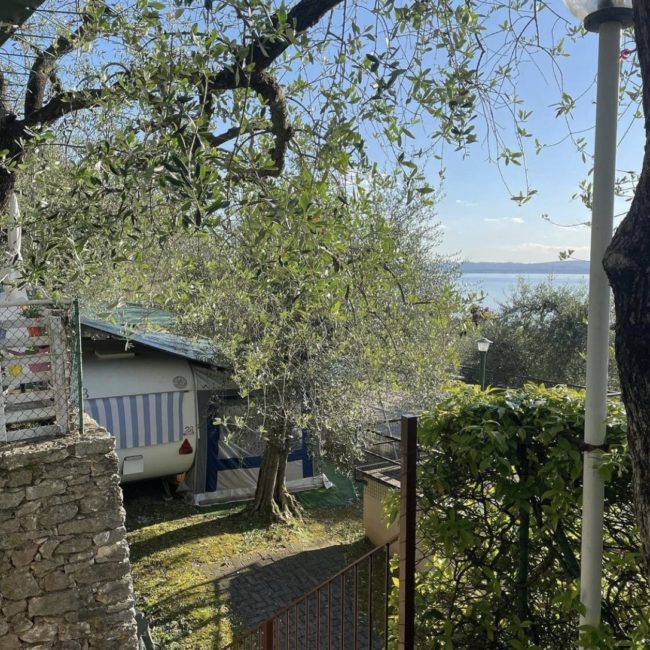 fc869bfc-0a39-48fc-956f-b04b51593a71